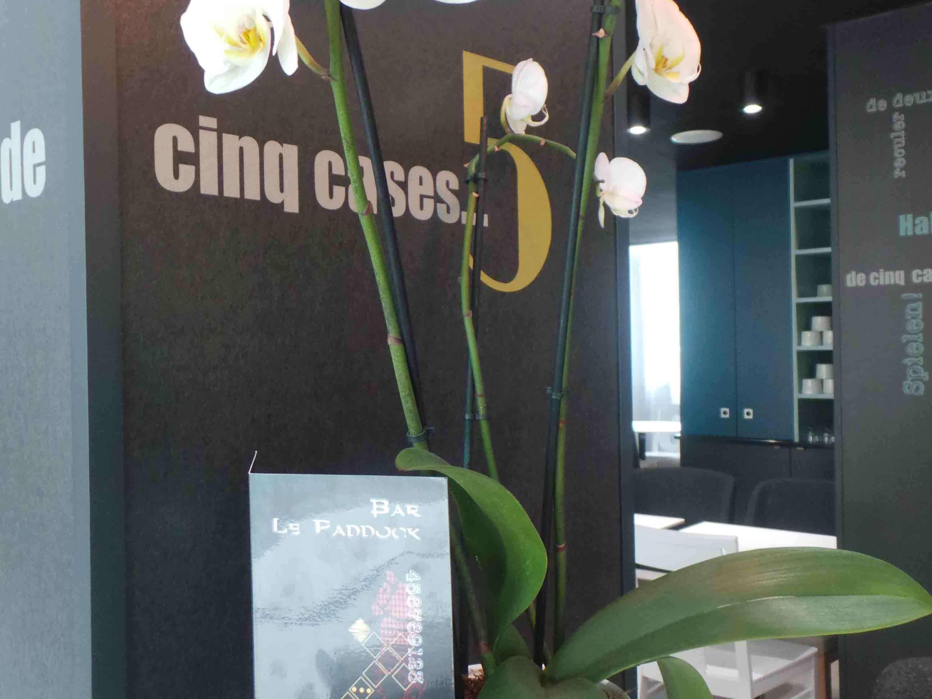 Ibis Styles Centre 3* Deauville